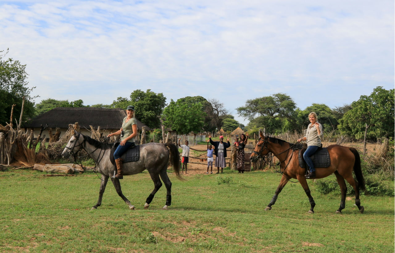hwange horse safari
