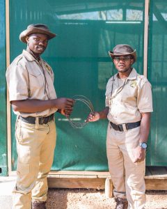 classiczambia-activities-musekeseconservation-antipoaching